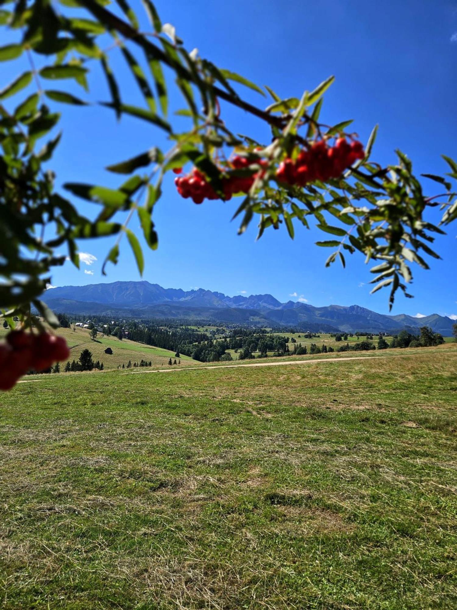 Goralska Chatka 3 Highland Cottage - Jacuzzi, Sauna, Split Ac, Private Parking, Mountains View Zakopane Buitenkant foto