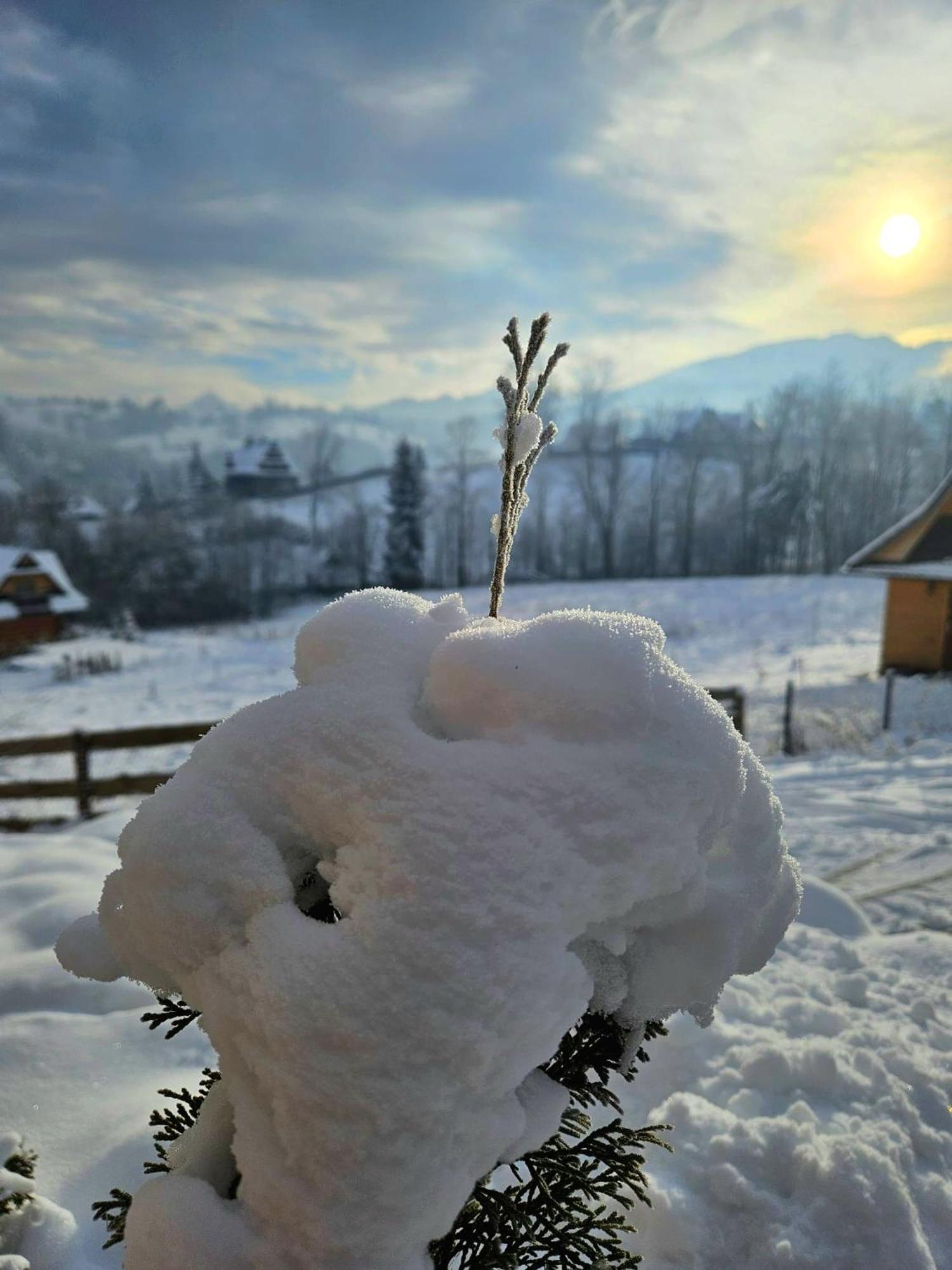 Goralska Chatka 3 Highland Cottage - Jacuzzi, Sauna, Split Ac, Private Parking, Mountains View Zakopane Buitenkant foto