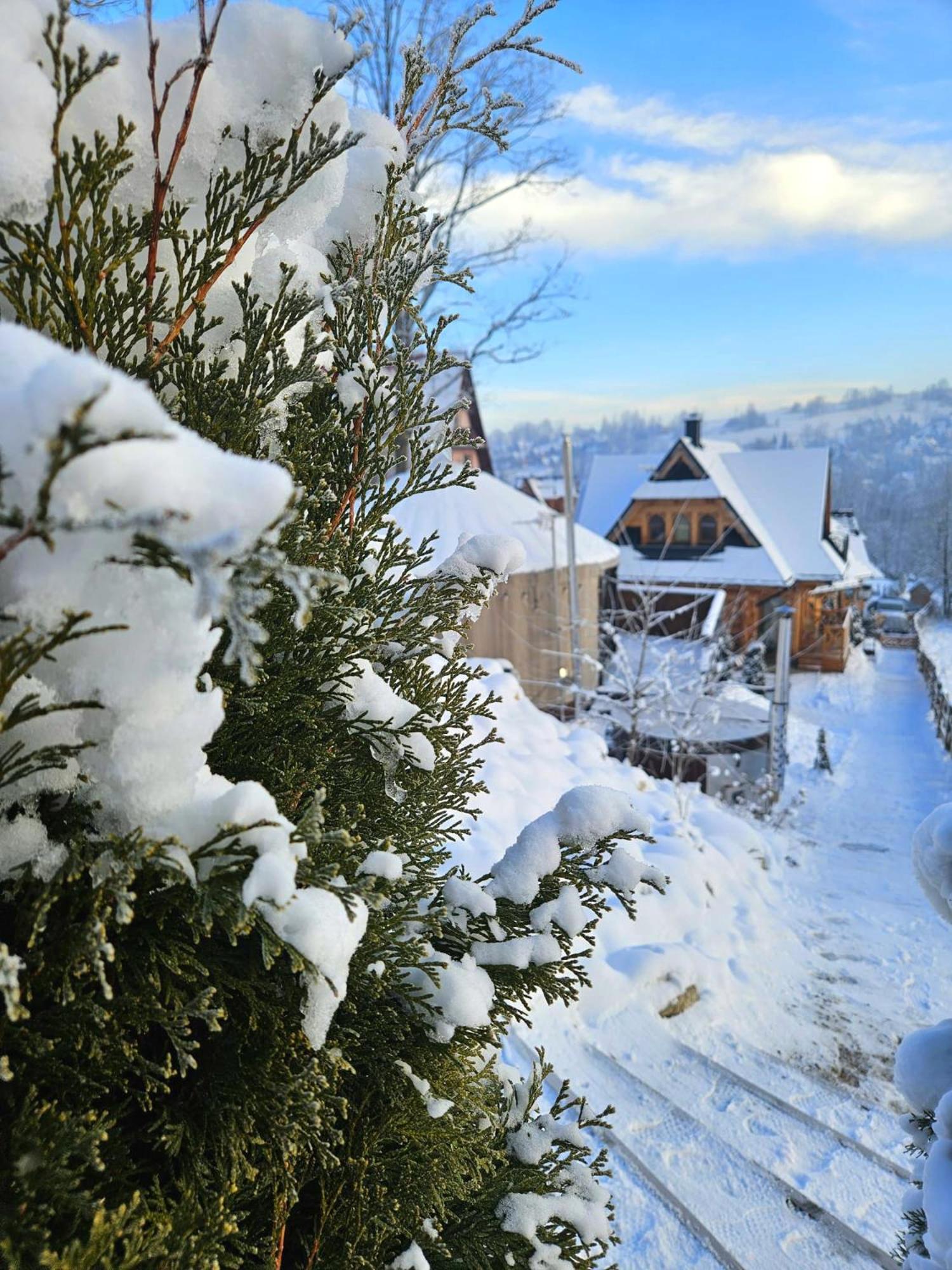 Goralska Chatka 3 Highland Cottage - Jacuzzi, Sauna, Split Ac, Private Parking, Mountains View Zakopane Buitenkant foto